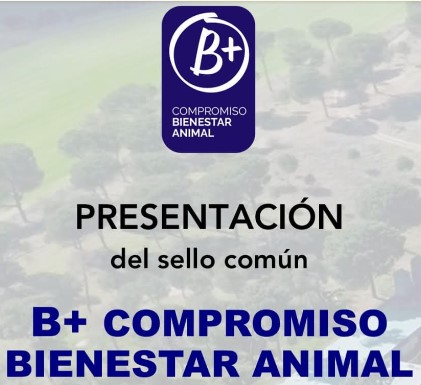 imagen de la noticia: B+ COMPROMISO BIENESTAR ANIMAL